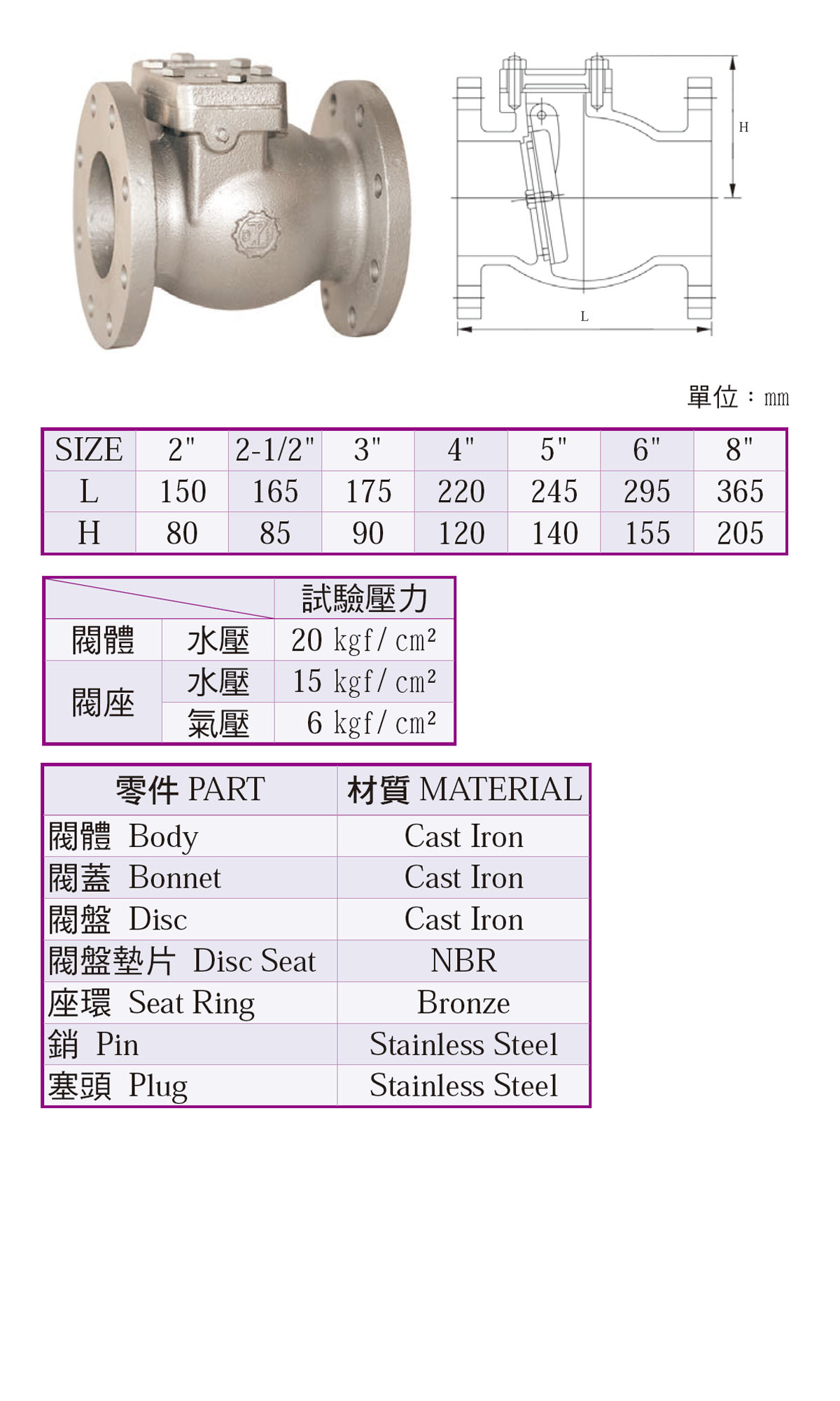 鑄鐵橫式逆止閥